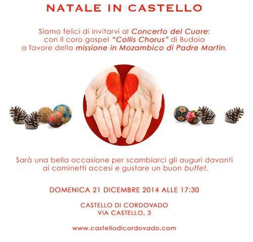 concerto del cuore 2014